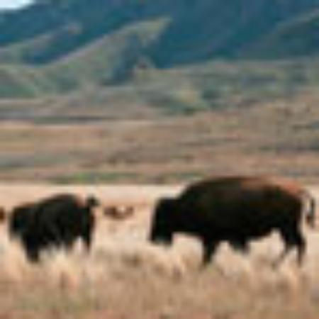 Beer Warehouse Ora Go